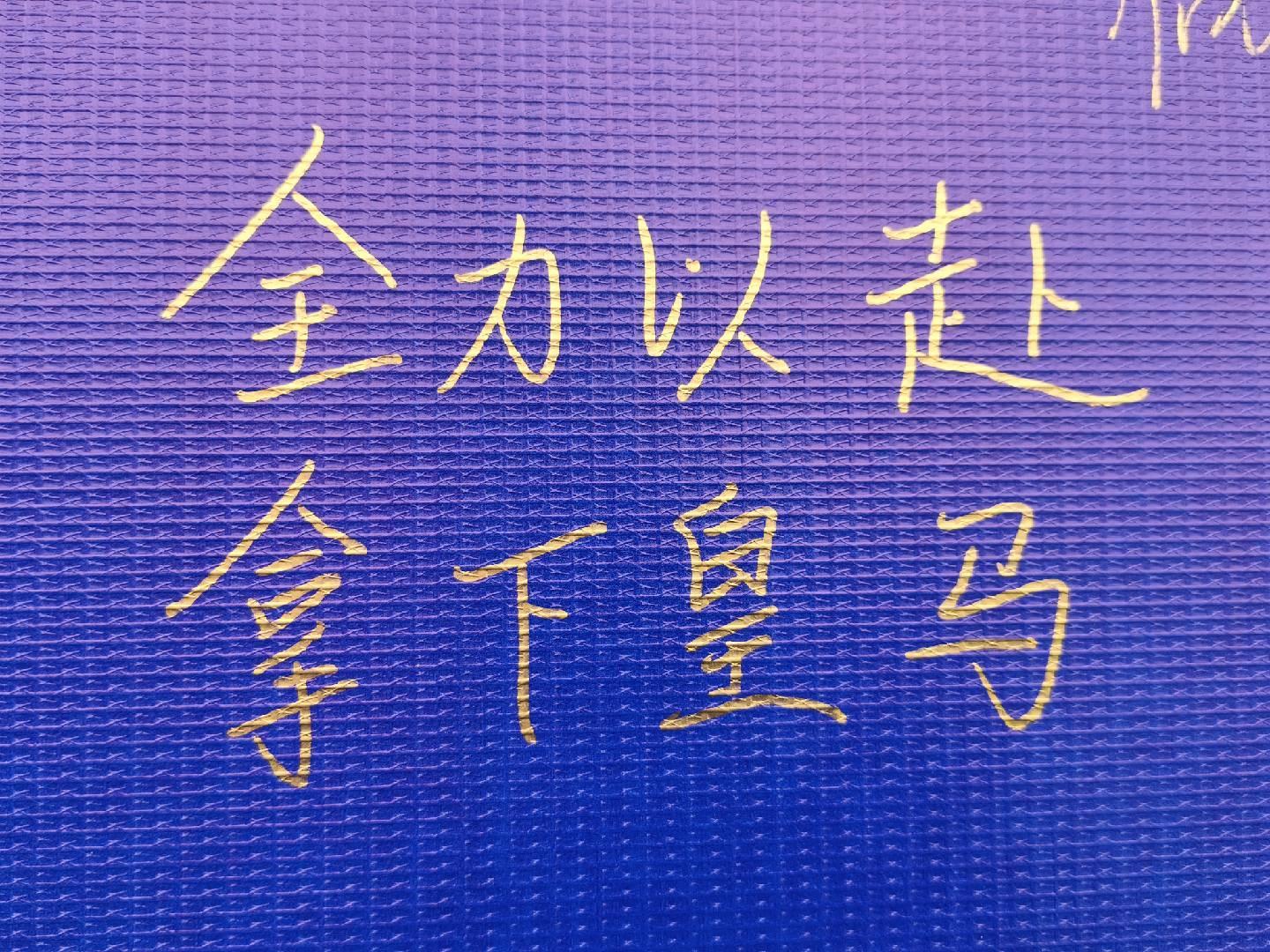 vinbet浩博详情图