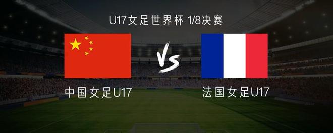 专业vinbet浩博服务