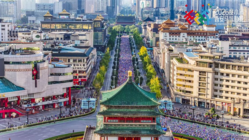 专业vinbet浩博服务