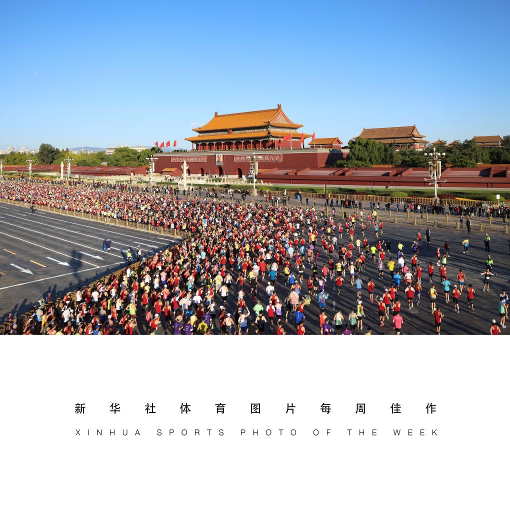 vinbet浩博相关图片